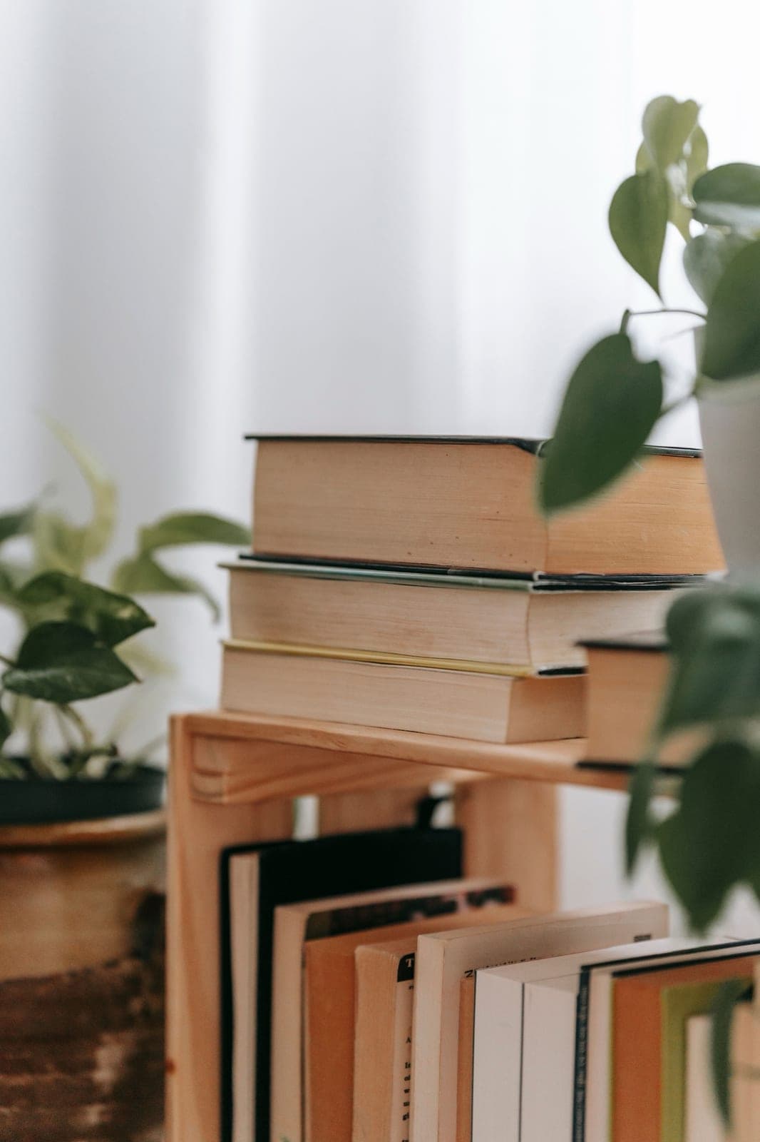 A stack of well-read paperbacks on a small wooden bookshelf, next to houseplants